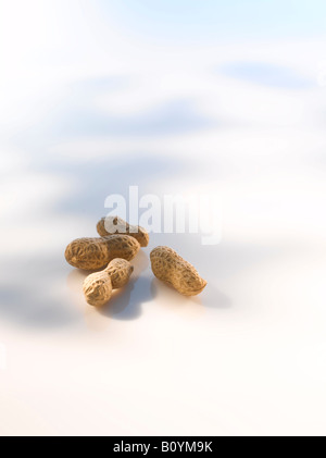 Four peanuts (Arachis hypogaea), elevated view Stock Photo
