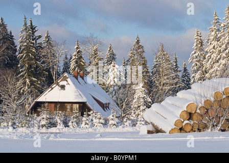 Germany, Black forest, Breitnau, Schwarzwaldhaus, Winter scenery Stock Photo