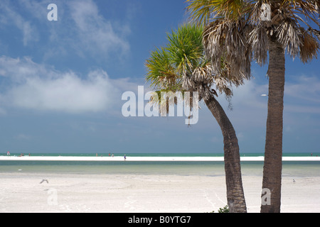 Fort DeSoto Park, Florida, May 2008: Beachgoers enjoying a calm sunny day on the white sands of the North Beach. Stock Photo