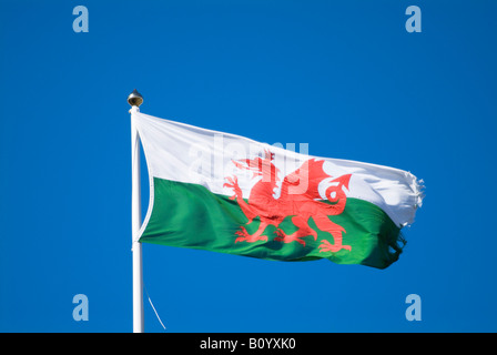 dh  FLAG WALES Welsh official flag green and white red dragon cymru flying national Stock Photo