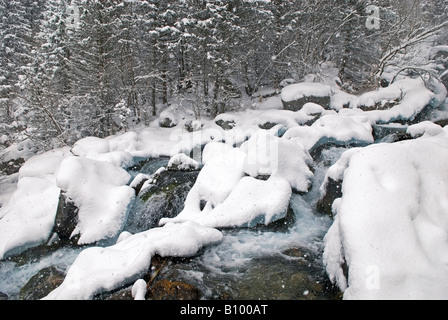 Mountain river Big Almatinka in winter during snowfall Stock Photo
