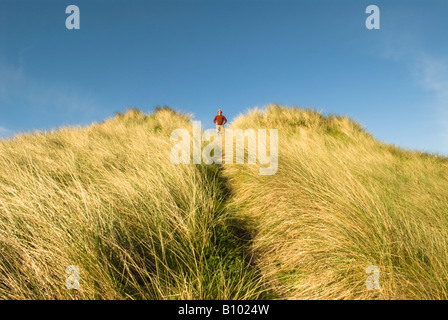 walker man in red on top of a single large dome dune in St Aidan's Dunes, under blue sky, Seahouses, Northumberland, UK, May Stock Photo