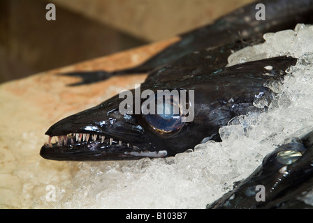 dh Espada FISH MADEIRA Deep ocean Black scabbard fish on ice market stall catch close up Stock Photo