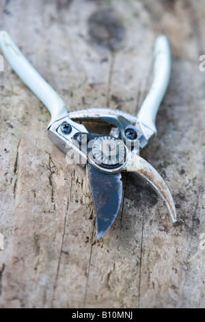 Pair of Garden Secateurs Stock Photo