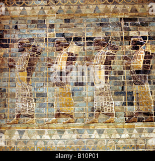 Persian frieze from the Palace of Darius the Great in Susa Stock Photo ...