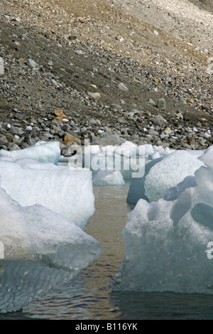 Bergie Bits Calved Off of Fourteenth of July Glacier, Svalbard, Norway Stock Photo