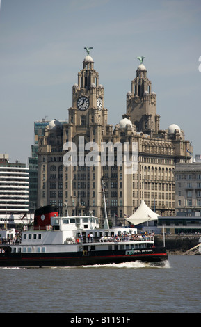 City of Liverpool, England. The Mersey Ferry Royal Daffodil passing the Royal Liver Building on the River Mersey. Stock Photo