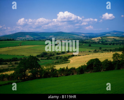 Pastoral region, near Augrhim, County Wicklow, Ireland Stock Photo