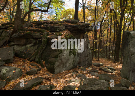 Beartown Rocks BEARTOWN ROCKS CLEAR CREEK STATE PARK COOK FOREST WESTERN PENNSYLVANIA ...