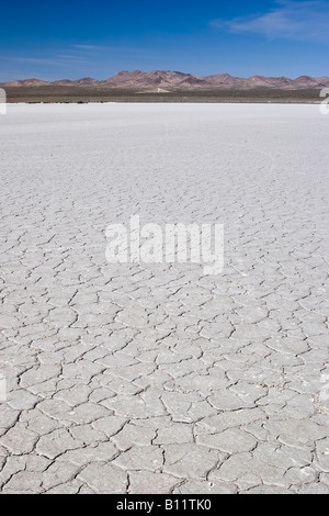 El mirage Dry lake bed with mountains in the distance and a clear blue sky. Stock Photo
