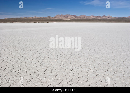 El mirage Dry lake bed with mountains in the distance and a clear blue sky. Stock Photo