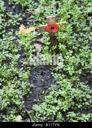 Red memorial poppy on cross forgotten in muddy field Ypres Belgium Stock Photo