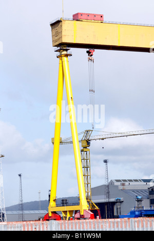 6th April 2008 The Harland and Wolf shipyard Krupps crane Belfast Stock Photo