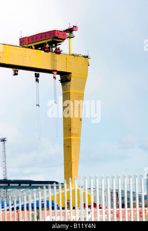 6th April 2008 The Harland and Wolf shipyard cranes Belfast Stock Photo