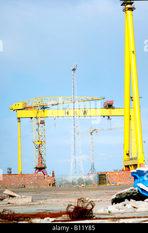 6th April 2008 The Harland and Wolf shipyard Krupps crane Belfast Stock Photo