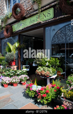 A flower shop in the town of Combourg in Brittany Northern France Stock Photo