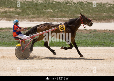 Cinder and sand racing at Marsa racetrack, Trotters, Horse-racing, Trot races at the Racing Club, Racecourse Street, Marsa, Malta. Stock Photo