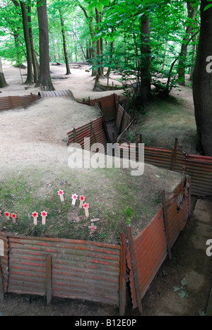 Preserved World War One trenches at Hill 62 Ypres Salient Stock Photo