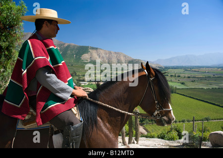 HUASO WEARING CHUPALLA HAT DON MAXIMIANO ESTATE VINA ERRAZURIZ WINERY ACONCAGUA VALLEY CHILE Stock Photo