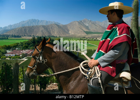 HUASO WEARING CHUPALLA HAT DON MAXIMIANO ESTATE VINA ERRAZURIZ WINERY ACONCAGUA VALLEY CHILE Stock Photo