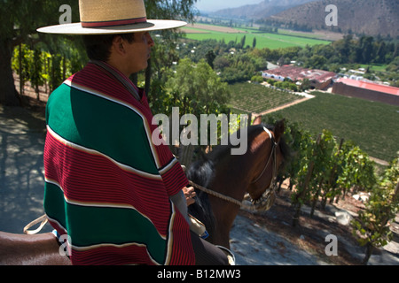 HUASO WEARING CHUPALLA HAT DON MAXIMIANO ESTATE VINA ERRAZURIZ WINERY ACONCAGUA VALLEY CHILE Stock Photo