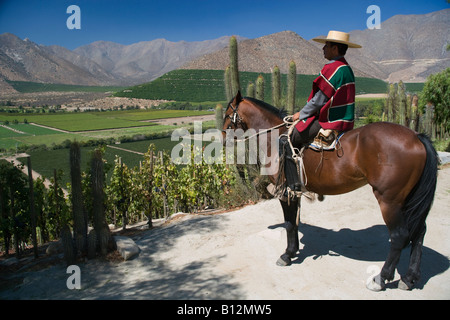 HUASO WEARING CHUPALLA HAT DON MAXIMIANO ESTATE VINA ERRAZURIZ WINERY ACONCAGUA VALLEY CHILE Stock Photo