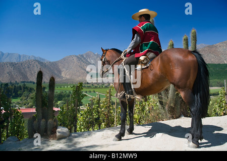 HUASO WEARING CHUPALLA HAT DON MAXIMIANO ESTATE VINA ERRAZURIZ WINERY ACONCAGUA VALLEY CHILE Stock Photo