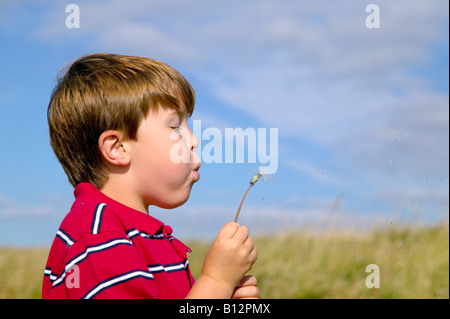 Young boy blowing theseeds from a dandelion head Stock Photo