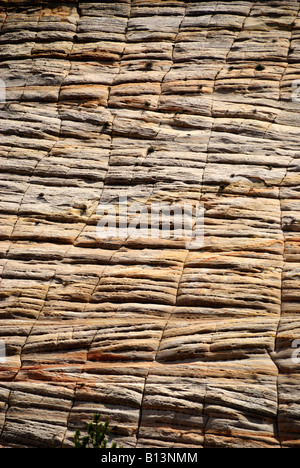 Checkerboard Mesa in Zion National Park Stock Photo