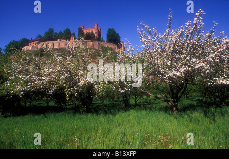 Castle Ortenberg, Black Forest, Offenburg, Ortenau, Germany Stock Photo