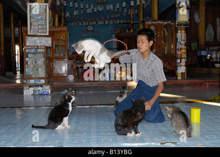 Nga Phe Kyaung Monastery of jumping cats, Inle lake, MYANMAR BURMA BIRMA, ASIA Stock Photo