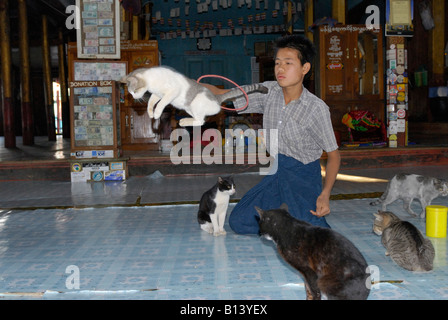 Nga Phe Kyaung Monastery of jumping cats, Inle lake, MYANMAR BURMA BIRMA, ASIA Stock Photo