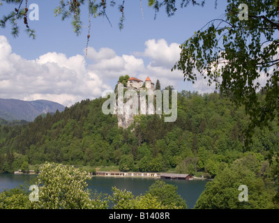 Bled Castle, Slovenia Stock Photo