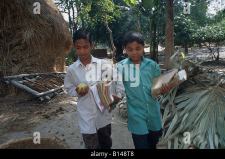 Rural cricket in a village in Bangladesh Stock Photo