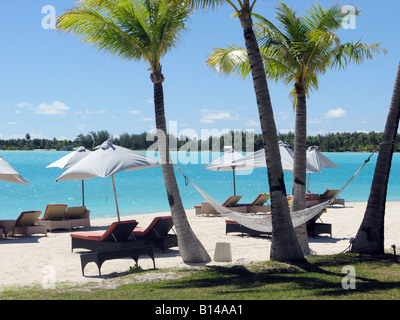 View of hammocks tables chairs palm trees umbrellas for the tropical beach of Bora Bora's St. Regis resort. Photo by Tom Zuback Stock Photo