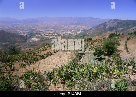 geography / travel, Zimbabwe, landscapes, Honde Valley, fields, Additional-Rights-Clearance-Info-Not-Available Stock Photo