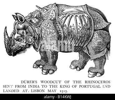 Rhinoceros Durers woodcut of the Rhinoceros from India landed at Lisbon 1513 engraved from a sketch sent to the artist Stock Photo