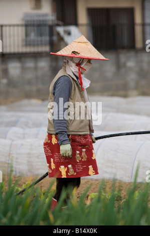 Japan Kyoto A farmer irrigates her crops on a small suburban allotment, wearing a traditional straw hat, cotton mask and gloves Stock Photo
