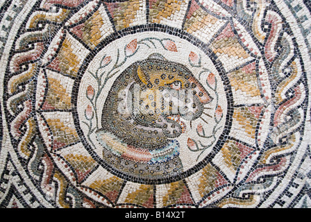 Leopard head mosaic in the Roman Museum, Sabratha Stock Photo