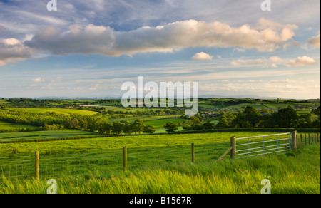 Rolling farmland of Mid Devon England Stock Photo