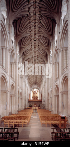 Norwich, Kathedrale, cathedral, interior nave from east to west, Hauptschiff Stock Photo