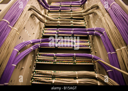 Large bundles of purple and grey data cables run into a cabinet. Stock Photo