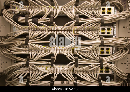 An array of ethernet cables are connected to a bank of Cisco network switches. Stock Photo