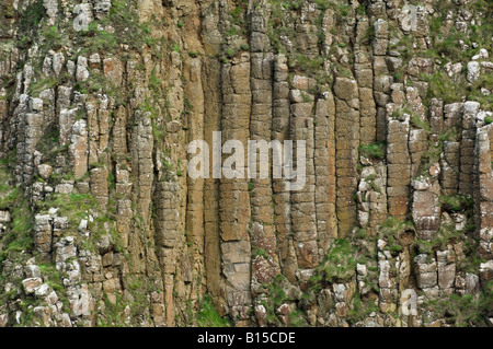 Tessellated Rock Formations in the cliffs overlooking the Giants Causeway, County Antrim, Northern Ireland Stock Photo