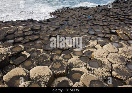 Tessellated rock formations at the Giants Causeway, County Antrim, Northern Ireland Stock Photo
