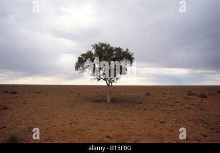 Rare Rain Storm on the Gibber Plain Old Andado Track Simpson Desert Northern Territory Australia Stock Photo