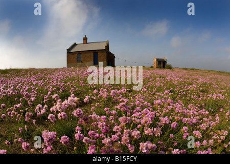 The Watch House Blakeney Point North Norfolk May Stock Photo