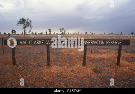 Mac Clarke Conservation Reserve Simpson Desert Northern Territory Australia Stock Photo