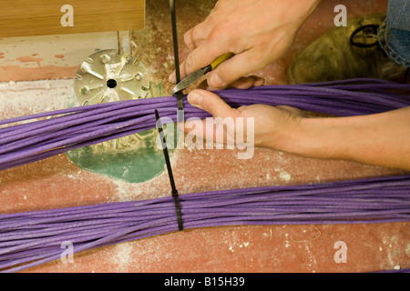 Trimming cable ties on a bunch of purple data cables, being placed under a raised floor in a newly constructed office building. Stock Photo