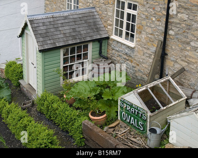 A traditional wooden garden shed and cold frames in Richmond North Yorkshire UK Stock Photo